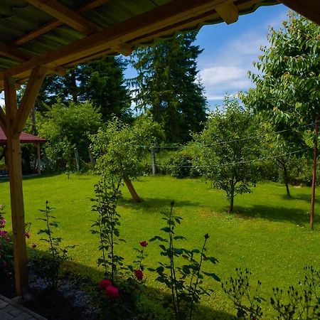 Pension Verona Centru Kluż-Napoka Zewnętrze zdjęcie